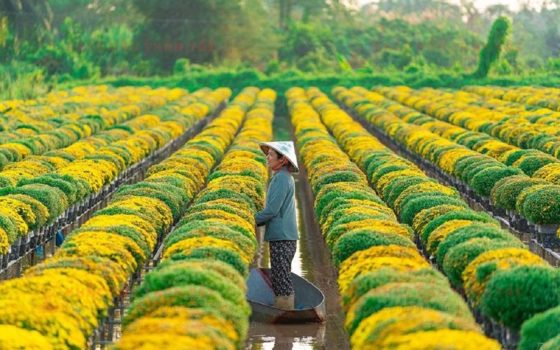 Dịch vụ khắc dấu chuyên nghiệp tại Đồng Tháp